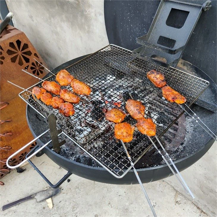 Best Camping Grill