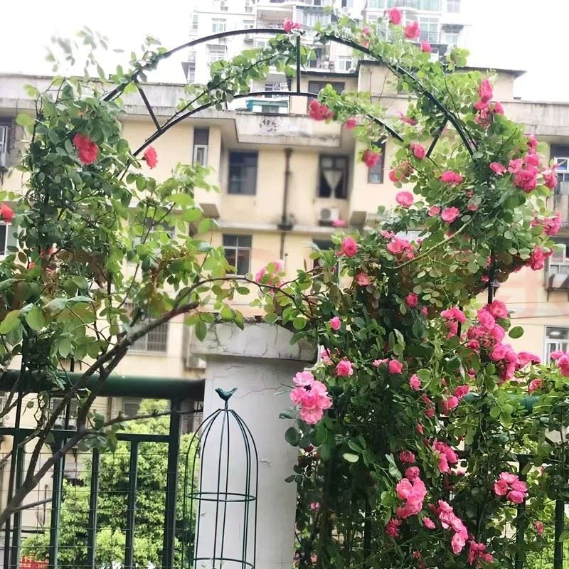 Villa Courtyard Arch Ironwork Support